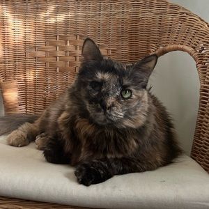 Meet your Posher, Christina